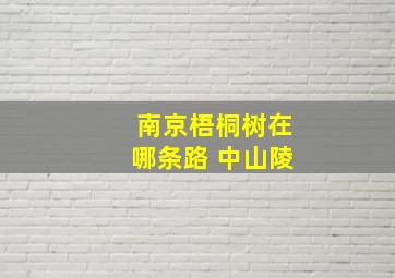 南京梧桐树在哪条路 中山陵